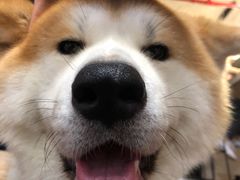 -YCHL Studios健身工作室(市二宫店)