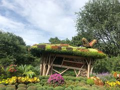 -北京植物园-展览温室