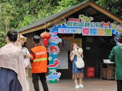 -西双版纳原始森林公园