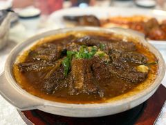 -丁老爷子苏香圆