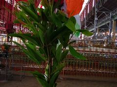 -ခြောက်ထပ်ကြီးရွှေသာလျောင်းဘုရားကြီး