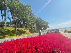 -深圳湾公园(南山区)