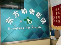 -东方动物医院·宠保定点·骨科·转诊中心(春城路·昆明站分院)