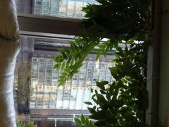 -精德口腔·种植修复·儿牙中心(财富中心店)
