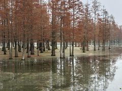 -白鹭湾湿地公园