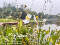 -陕西省西安植物园