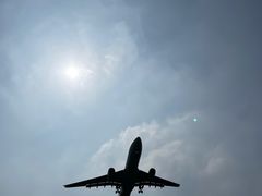 -空港花田景区