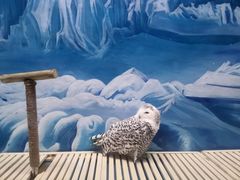 -成都浩海立方海洋公园