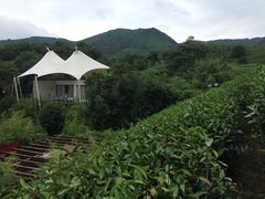 -帐篷客·溪龙茶谷度假酒店