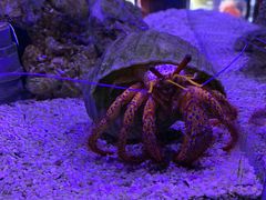 -太平洋海底世界