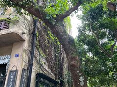 -观澜湖华谊冯小刚电影公社(百年记忆公社)
