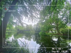 -上海共青森林公园