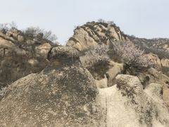 -大岭沟猕猴桃谷风景区