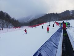 -亚布力新体委滑雪场