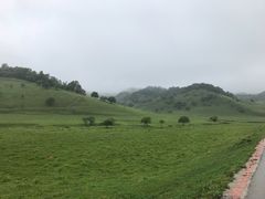 -关山草原
