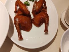 -利苑酒家(华熙国际店)