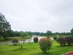 -蜀绣公园