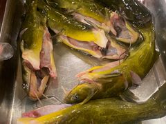 大嘎鱼-荣德灶台鱼(圣泉寺店)