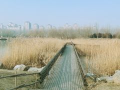 -马家湾湿地公园