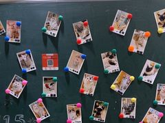 -藏猫猫咖啡主题馆(中央大道店)