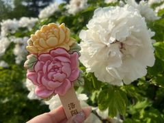 -洛阳市隋唐城遗址植物园