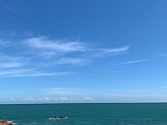 -广东惠东海龟国家级自然保护区