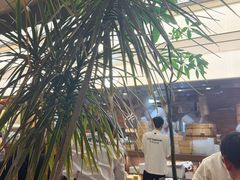 -苏小柳点心·手作小笼包(浦东嘉里城分院)