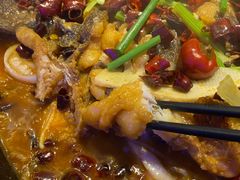 -老板恋上鱼(恒隆广场店)