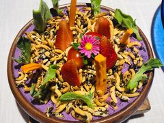 藜麦盆栽-大鸭梨烤鸭·北京菜(南小街/南苑店)