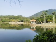 -深圳仙湖植物园