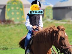 -186彩带河