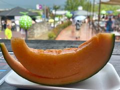-富田农场