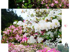 -广州市石门国家森林公园