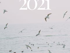 -深圳湾公园(南山区)