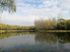 -昆山城市生态森林公园