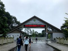 -中国大熊猫保护研究中心雅安碧峰峡基地