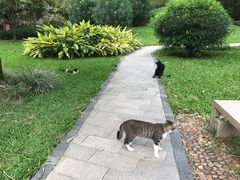 -晓港公园