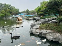 -扬州瘦西湖温泉