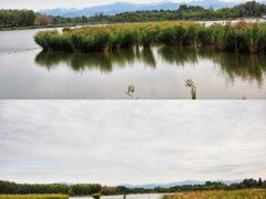 -野鸭湖国家湿地公园