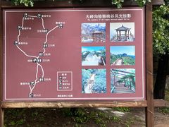 -大岭沟猕猴桃谷风景区