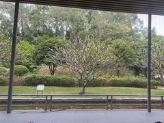 -南宁荔园维景国际酒店·荔园中餐厅