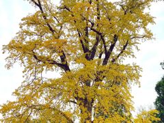 -金堂县云顶石城风景区