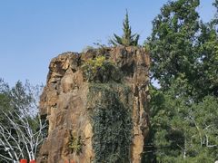 -上海市龙华烈士陵园