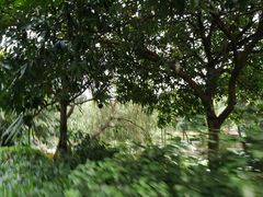 -广州市第二中学高中部(科学城校区)