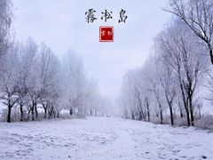 -雾凇岛