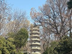 -灵谷景区