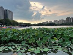 -南翔镇银翔湖公园