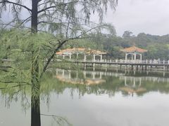 -鹿鸣酒家(越秀店)