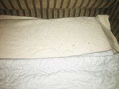 -沐泷泉(南风大剧院店)