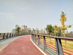 -府河摄影公园